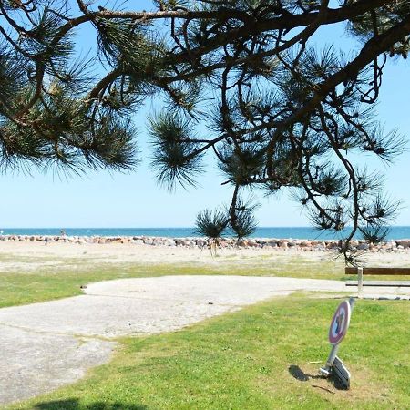 Appartement Cosy Avec Mezzanine, 6 Couchages, A 500M De La Mer - St Cyprien - Fr-1-225D-168 Saint-Cyprien  Dış mekan fotoğraf